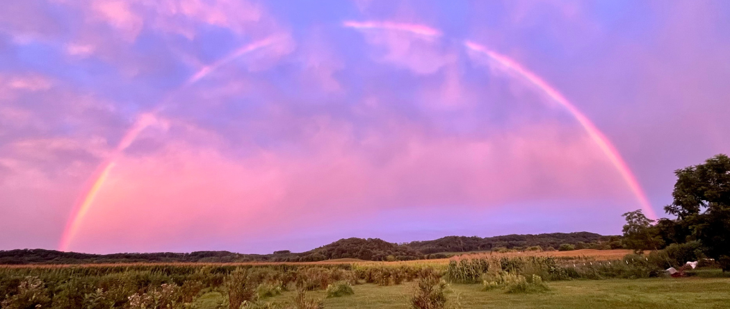 rainbow over a field