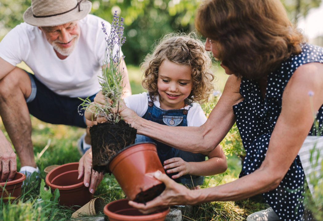 Family putting plant in planter