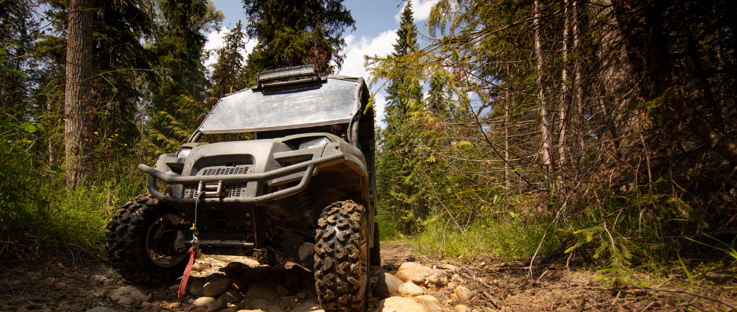 ATV in forest